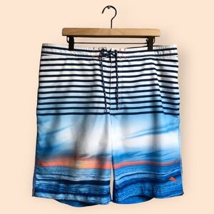 Blue Striped Swim Shorts